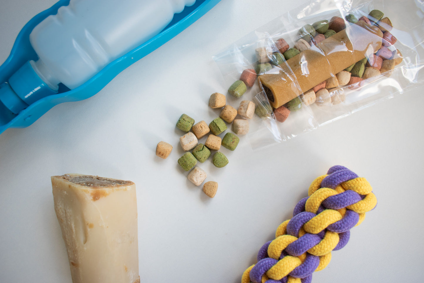 Speciaal voor de hond